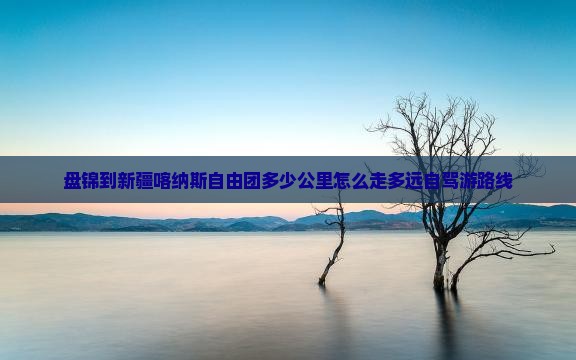 盘锦到新疆喀纳斯自由团