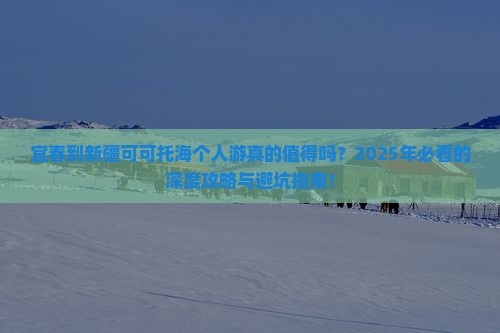 宜春到新疆可可托海个人游