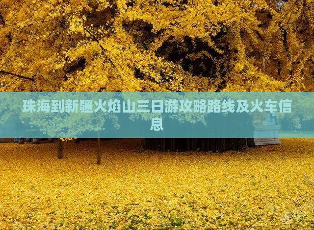 珠海到新疆火焰山三日游