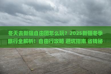冬天去新疆自由团