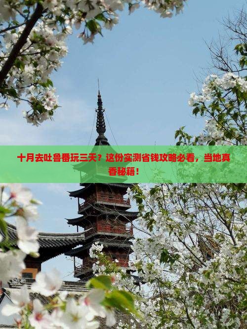 十月到新疆吐鲁番三日游