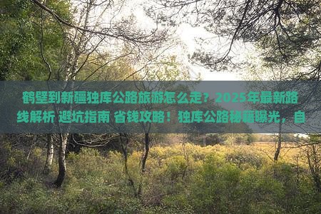 鹤壁到新疆独库公路旅游