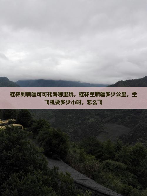 桂林到新疆可可托海哪里玩