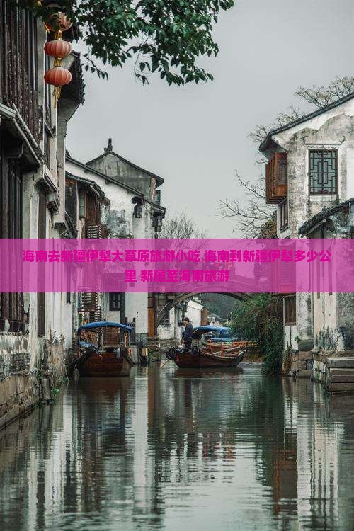 海南去新疆伊犁大草原旅游小吃