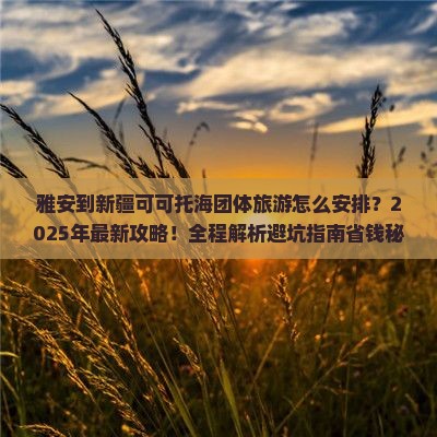 雅安到新疆可可托海团体旅游