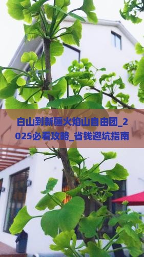 白山到新疆火焰山自由团