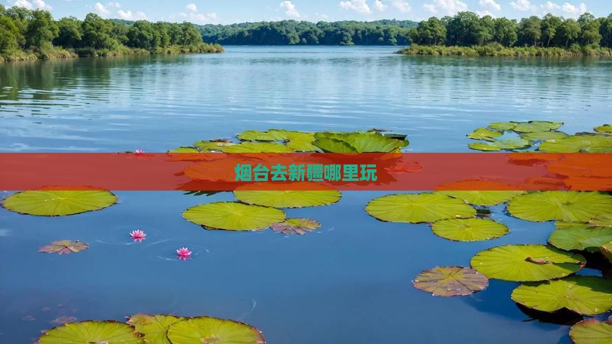 烟台去新疆哪里玩