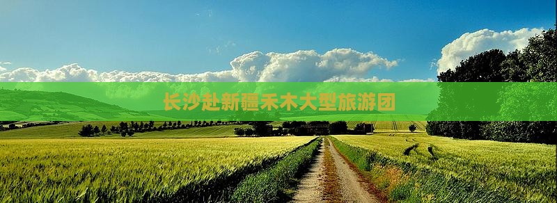 长沙去新疆禾木大型旅游团