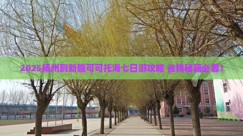 扬州到新疆可可托海七日游