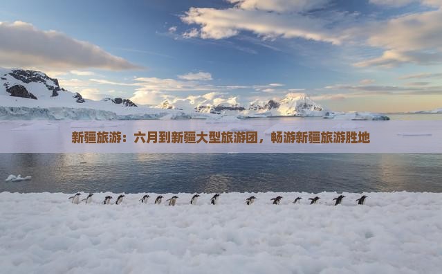 六月到新疆大型旅游团