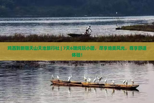 鸡西到新疆天山天池旅行社