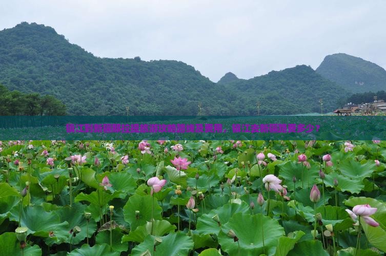 镇江到新疆那拉提旅游
