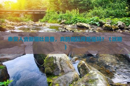 泰安去新疆吐鲁番大型旅游团