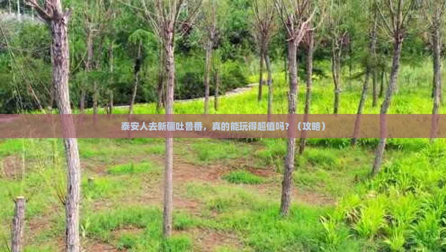 泰安去新疆吐鲁番大型旅游团