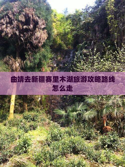 曲靖去新疆赛里木湖旅游