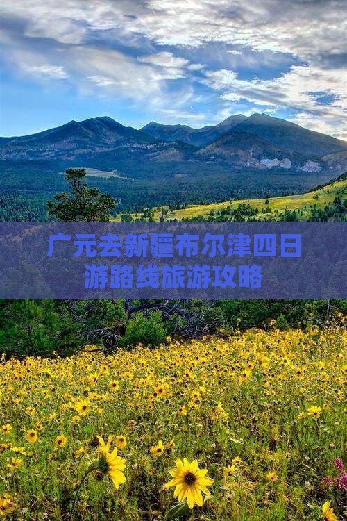 广元去新疆布尔津四日游