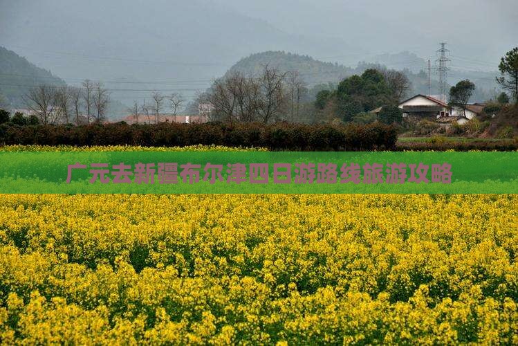 广元去新疆布尔津四日游