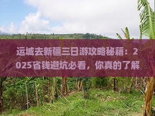 运城去新疆三日游