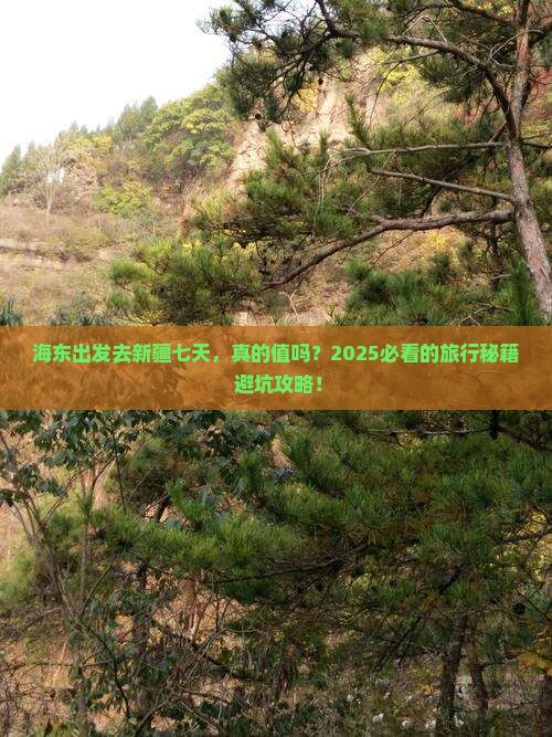 海东去新疆七日游