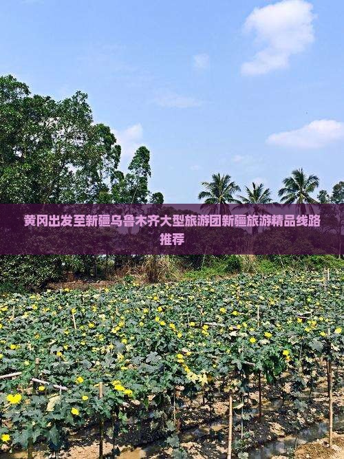 黄冈出发至新疆乌鲁木齐大型旅游团新疆旅游精品线路推荐