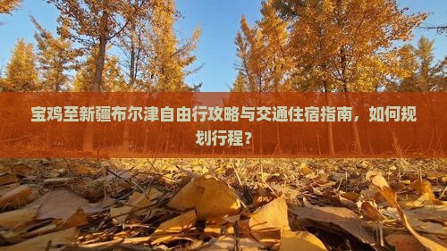 宝鸡至新疆布尔津自由行攻略与交通住宿指南，如何规划行程？