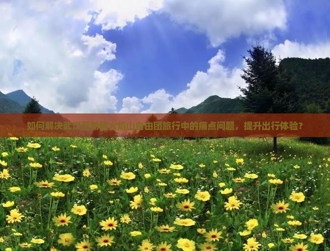 如何解决武汉至新疆火焰山自由团旅行中的痛点问题，提升出行体验？