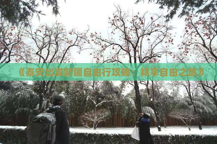 《泰安出发新疆自由行攻略：畅享自由之旅》