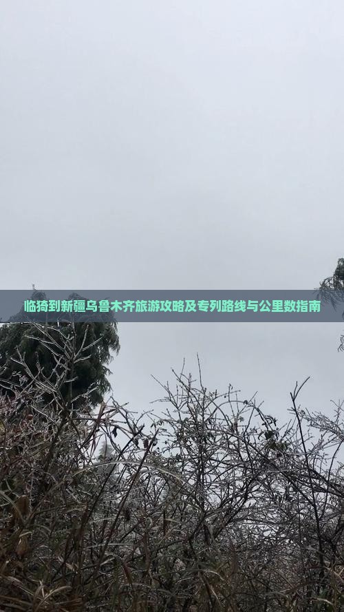 临猗到新疆乌鲁木齐旅游攻略及专列路线与公里数指南