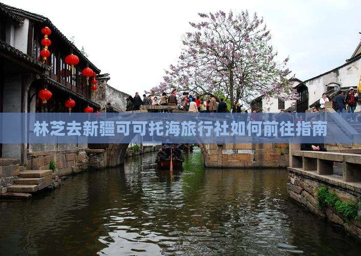 林芝去新疆可可托海旅行社如何前往指南
