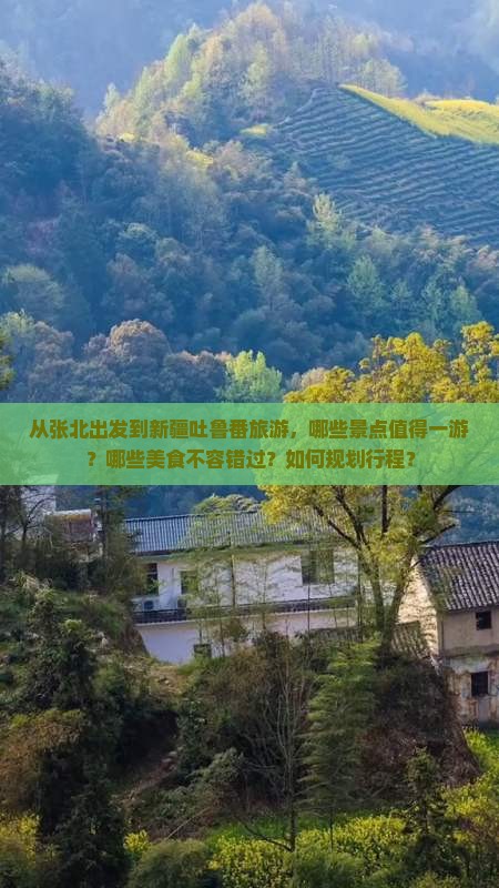 从张北出发到新疆吐鲁番旅游，哪些景点值得一游？哪些美食不容错过？如何规划行程？