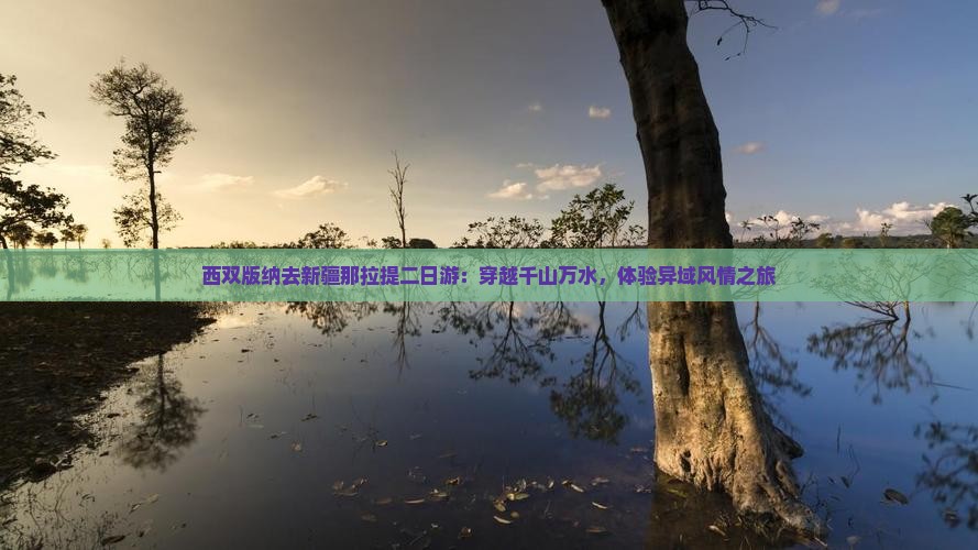 西双版纳去新疆那拉提二日游：穿越千山万水，体验异域风情之旅