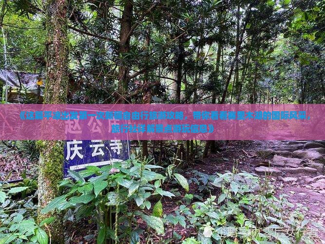 《这篇平凉出发第一次新疆自由行旅游攻略，带你看看赛里木湖的国际风采，旅行社详解景点游玩信息》