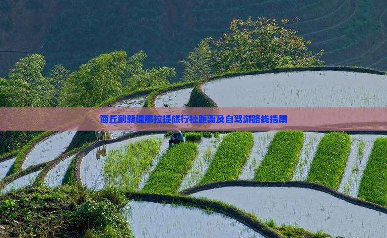 商丘到新疆那拉提旅行社距离及自驾游路线指南