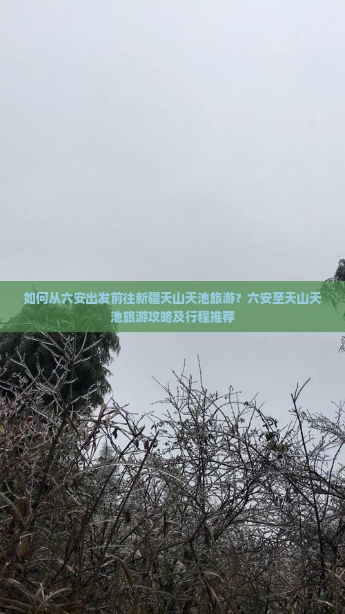 如何从六安出发前往新疆天山天池旅游？六安至天山天池旅游攻略及行程推荐