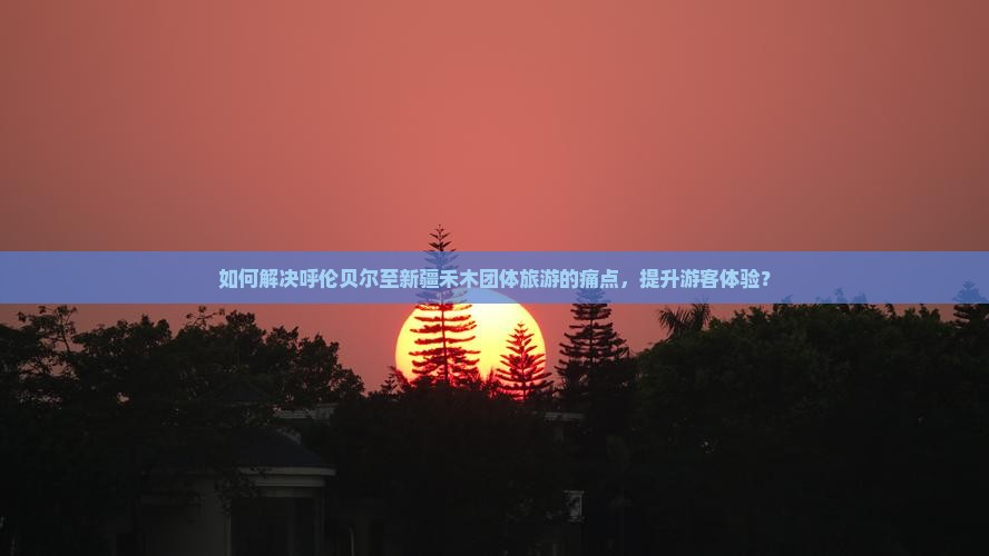 如何解决呼伦贝尔至新疆禾木团体旅游的痛点，提升游客体验？
