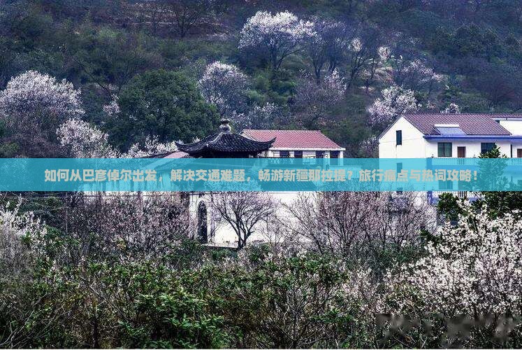 如何从巴彦倬尔出发，解决交通难题，畅游新疆那拉提？旅行痛点与热词攻略！