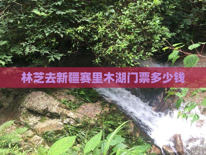 林芝去新疆赛里木湖门票多少钱