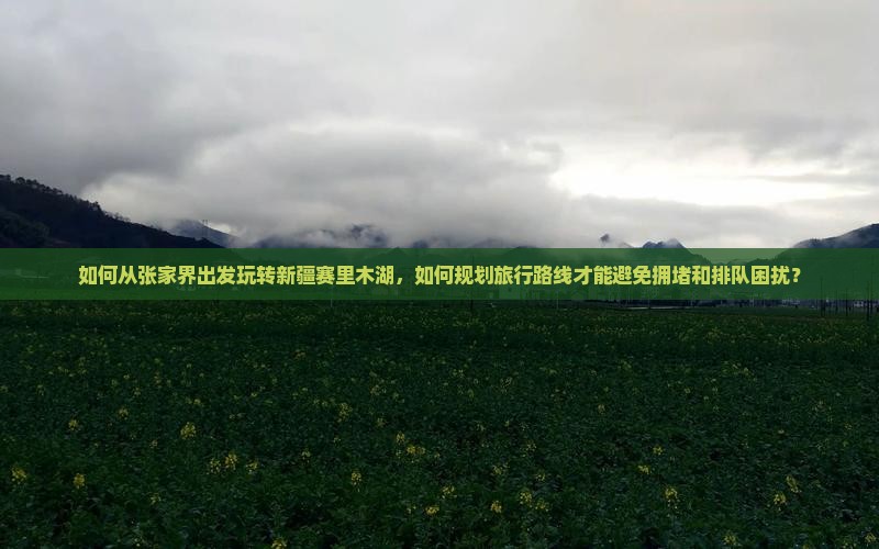 如何从张家界出发玩转新疆赛里木湖，如何规划旅行路线才能避免拥堵和排队困扰？