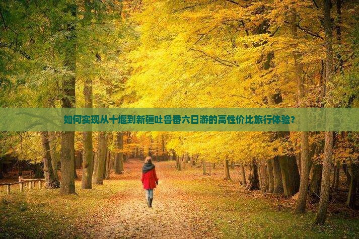 如何实现从十堰到新疆吐鲁番六日游的高性价比旅行体验？