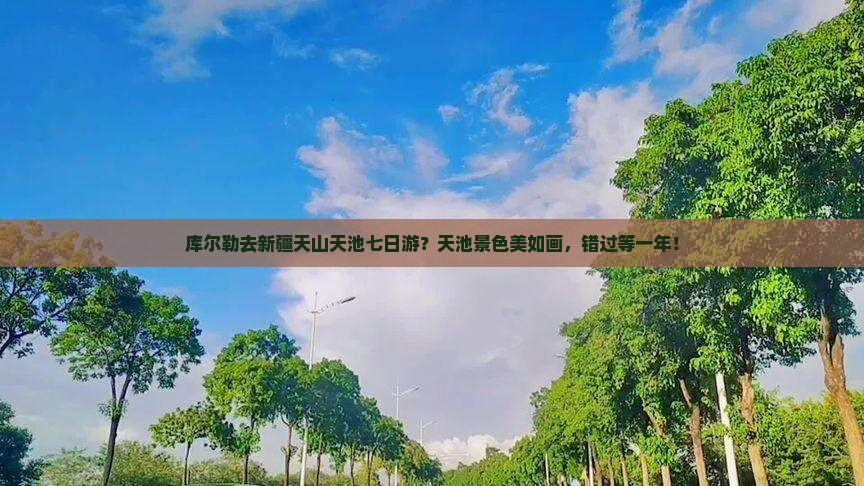 库尔勒去新疆天山天池七日游？天池景色美如画，错过等一年！