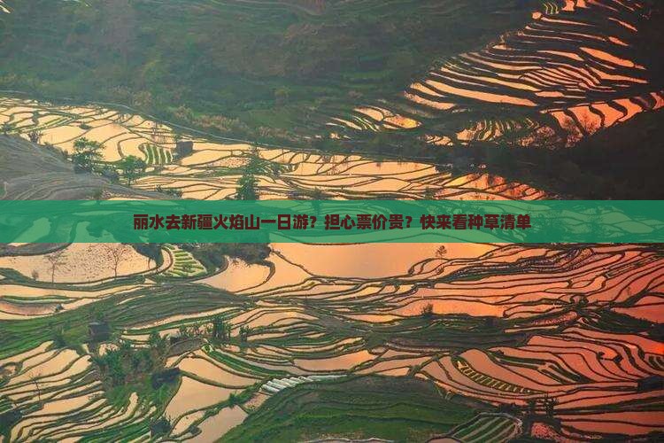 丽水去新疆火焰山一日游？担心票价贵？快来看种草清单