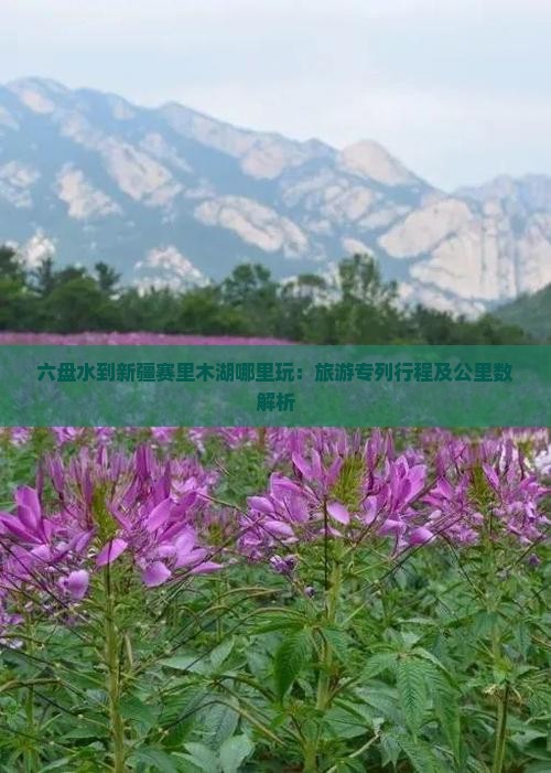 六盘水到新疆赛里木湖哪里玩:旅游专列行程及公里数解析 六盘水到新疆赛里木湖哪里玩:旅游专列行程及公里数解析