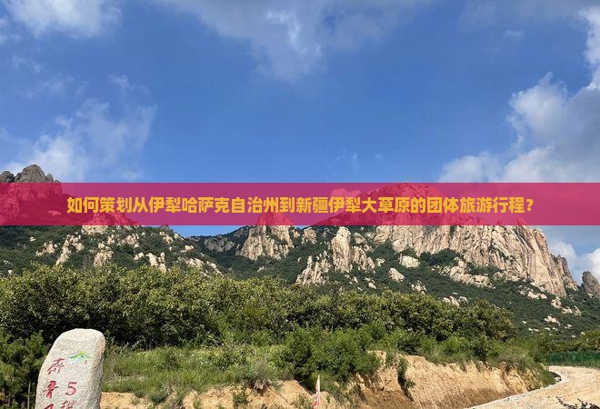 如何策划从伊犁哈萨克自治州到新疆伊犁大草原的团体旅游行程？