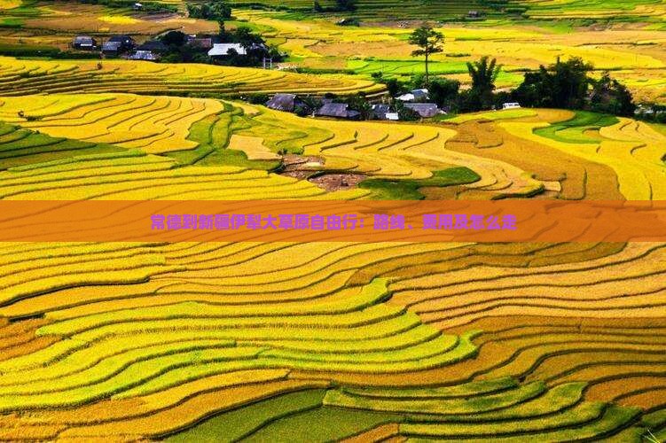 常德到新疆伊犁大草原自由行：路线、费用及怎么走