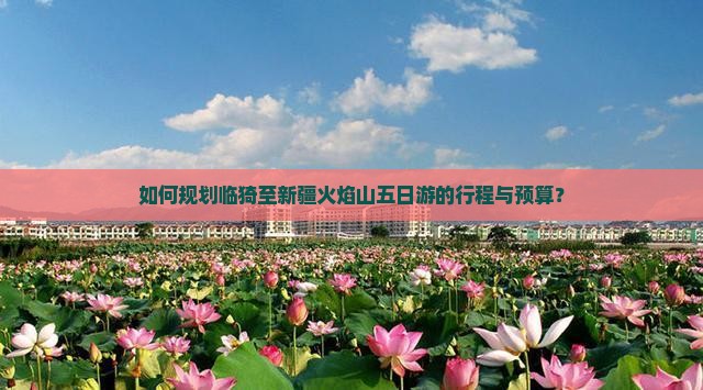如何规划临猗至新疆火焰山五日游的行程与预算？