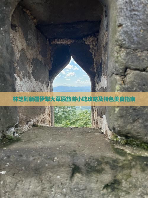 林芝到新疆伊犁大草原旅游小吃攻略及特色美食指南