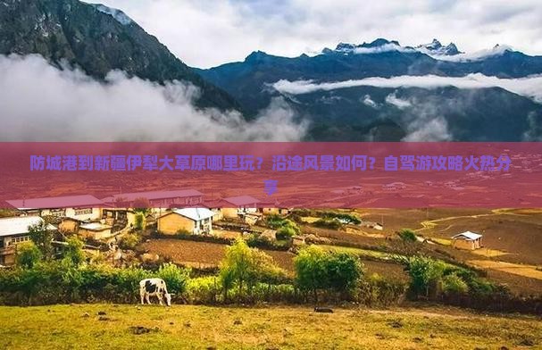 防城港到新疆伊犁大草原哪里玩？沿途风景如何？自驾游攻略火热分享