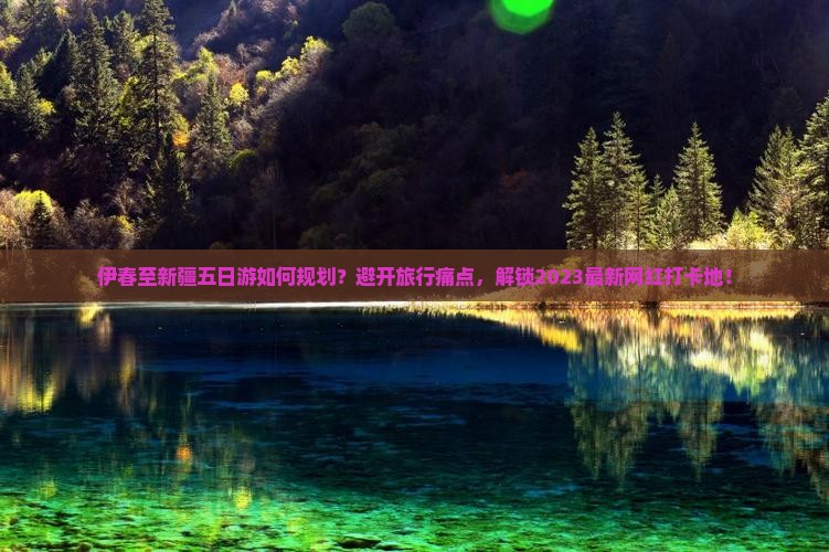 伊春至新疆五日游如何规划？避开旅行痛点，解锁2023最新网红打卡地！