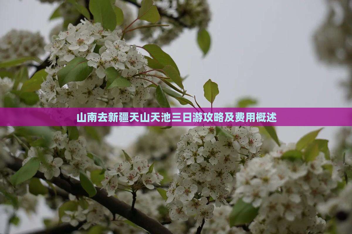 山南去新疆天山天池三日游攻略及费用概述