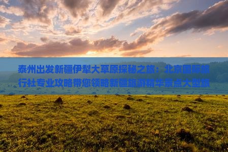 泰州出发新疆伊犁大草原探秘之旅：北京国际旅行社专业攻略带您领略新疆旅游精华景点大型旅游团招募中